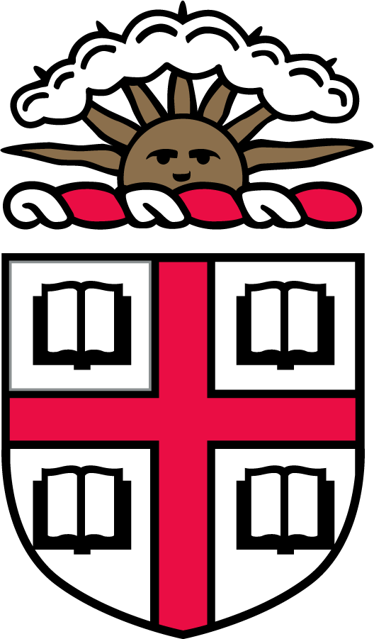 Brown Bears 1994-1996 Misc Logo DIY iron on transfer (heat transfer)